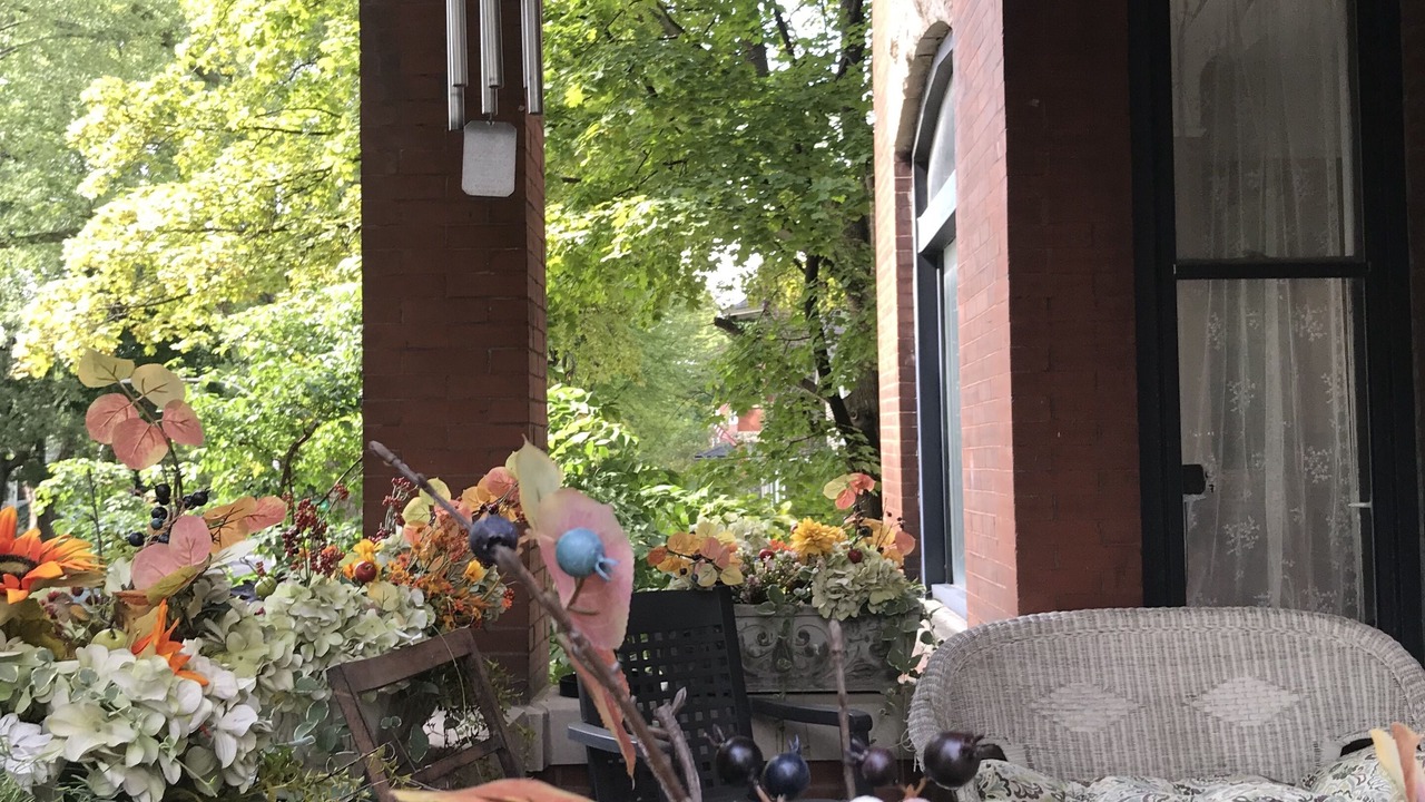 Photo of Outdoor in Ravenswood