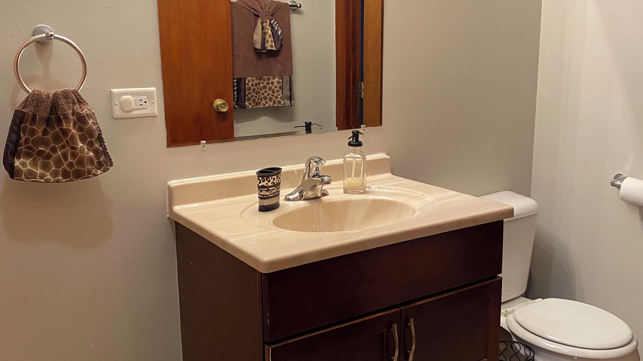 Photo of Bathroom in Lansing