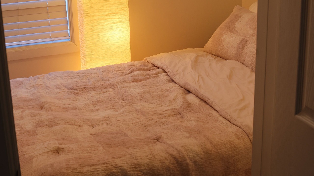 Photo of Bedroom in Palmer Square