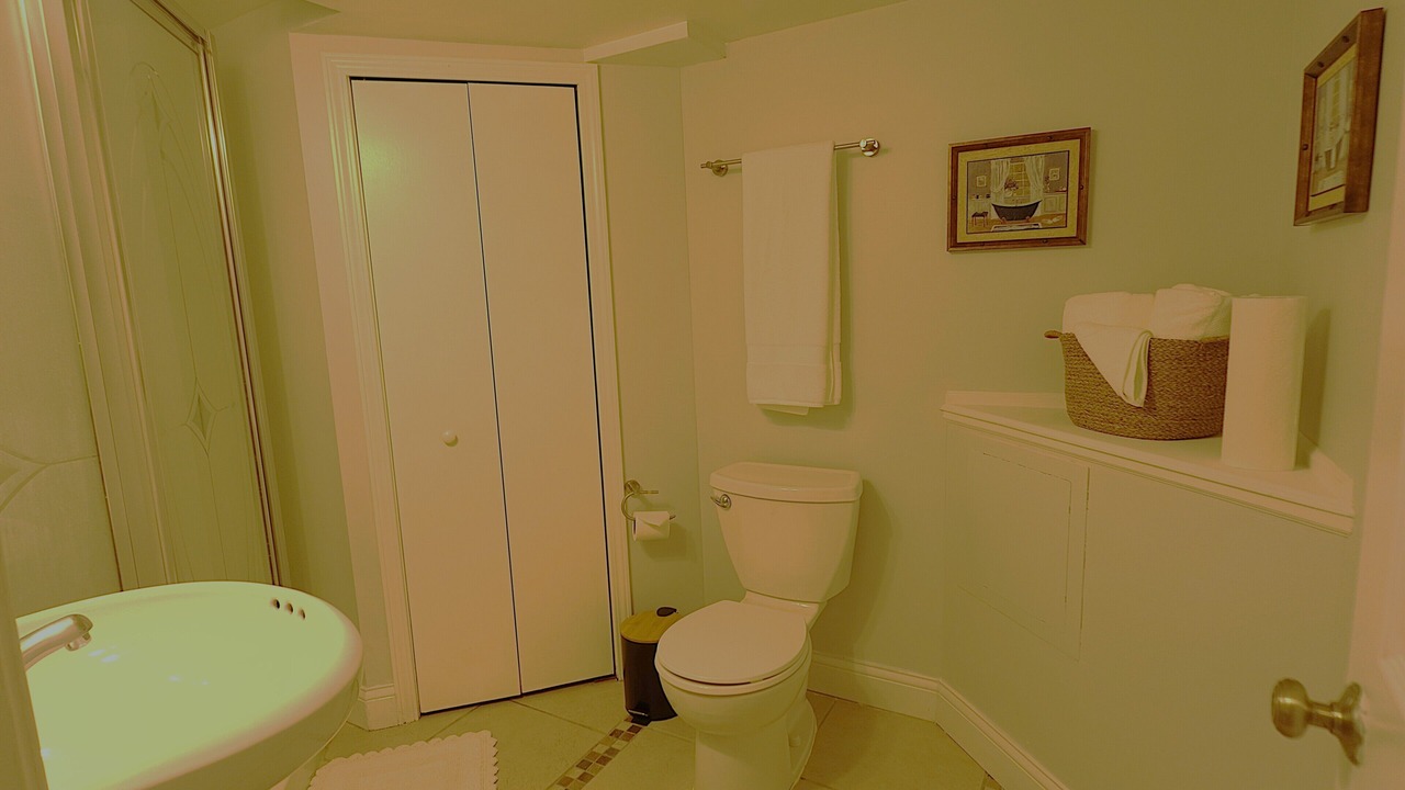 Photo of Bathroom in Des Plaines