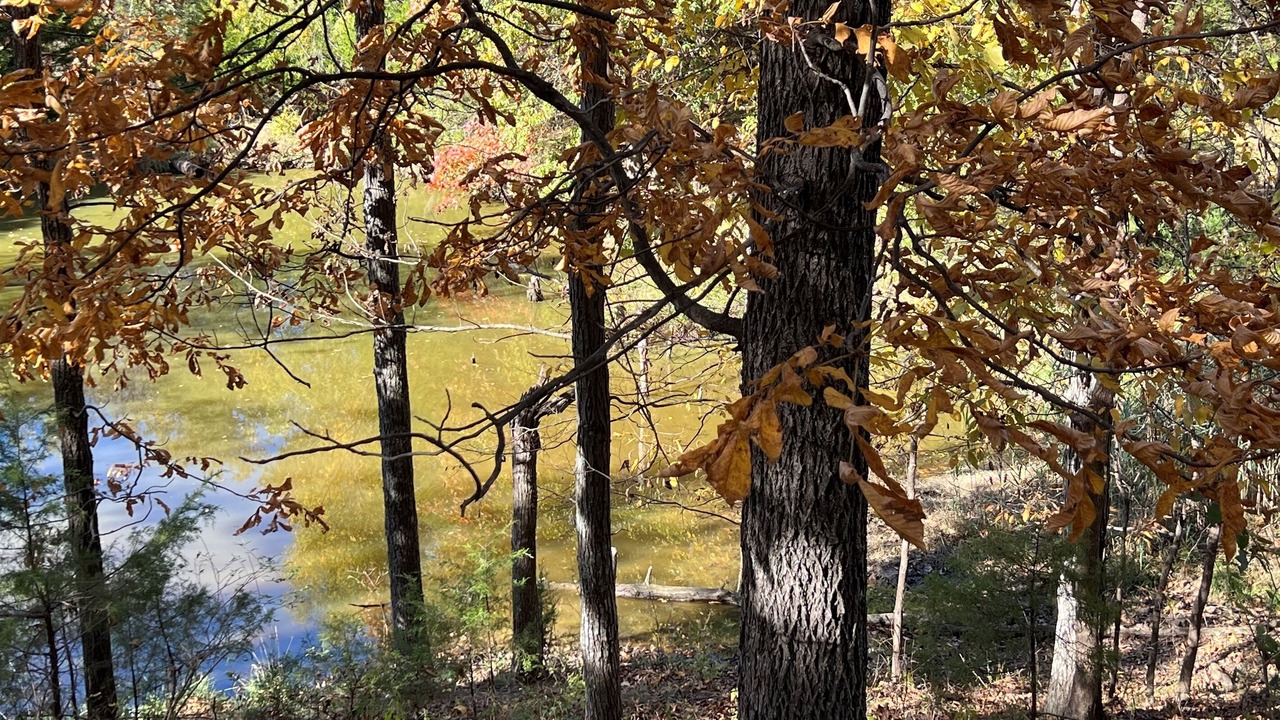Photo of Outdoor in Texico