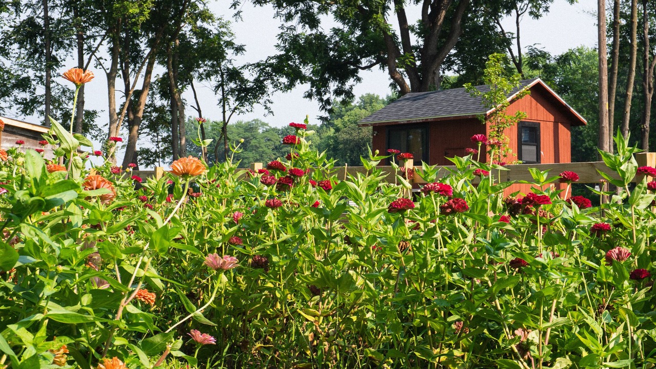 Photo of Outdoor in Sangamon County