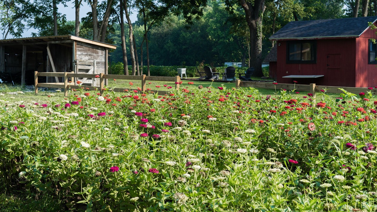 Photo of Outdoor in Sangamon County