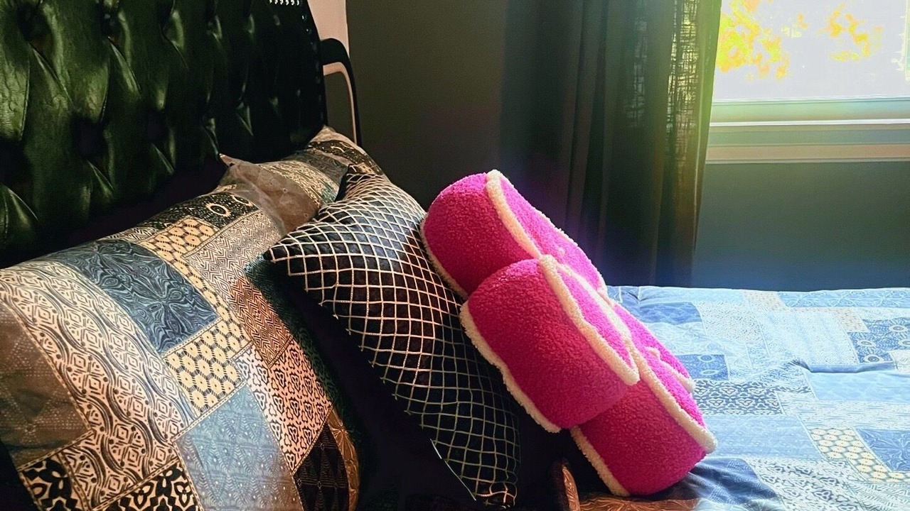 Photo of Bedroom in Evanston