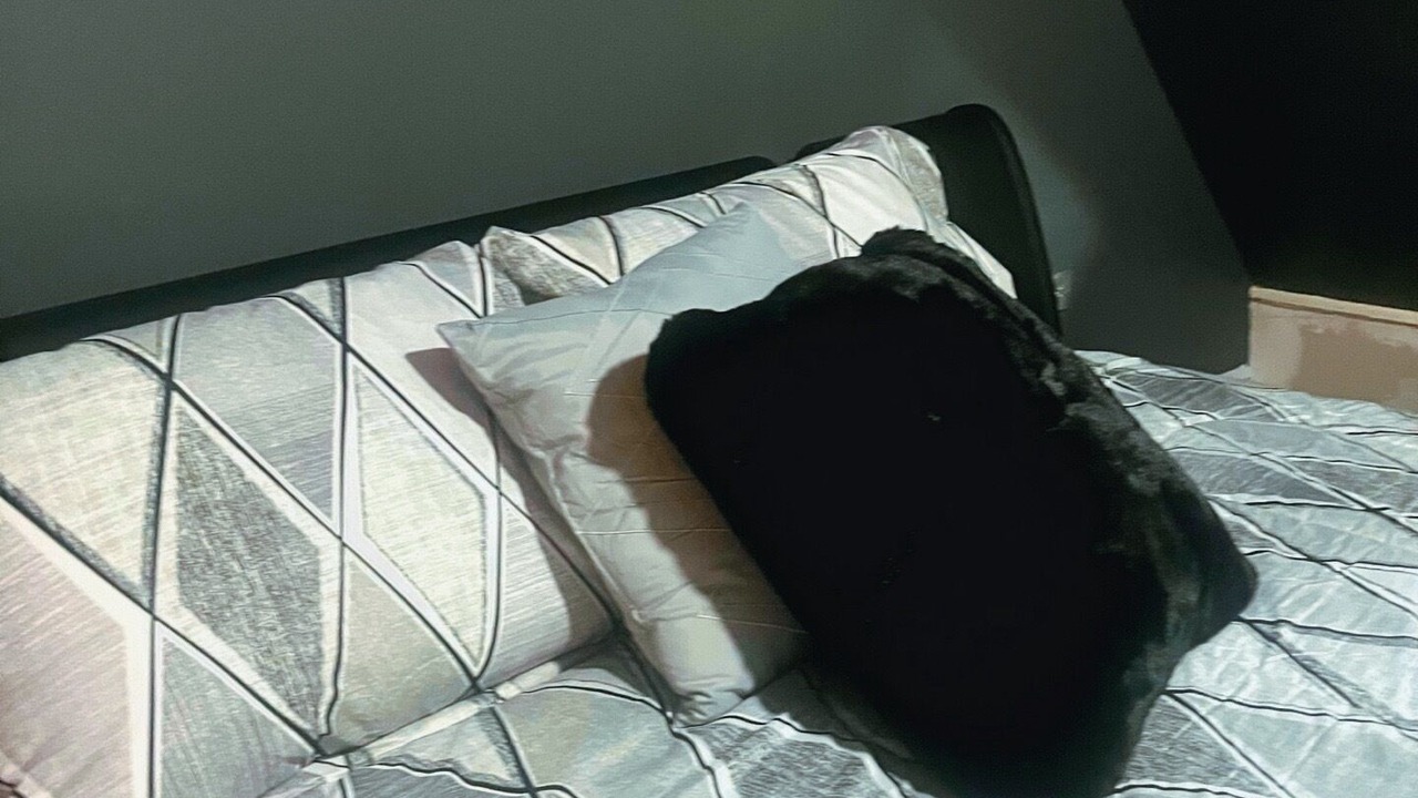 Photo of Bedroom in Evanston