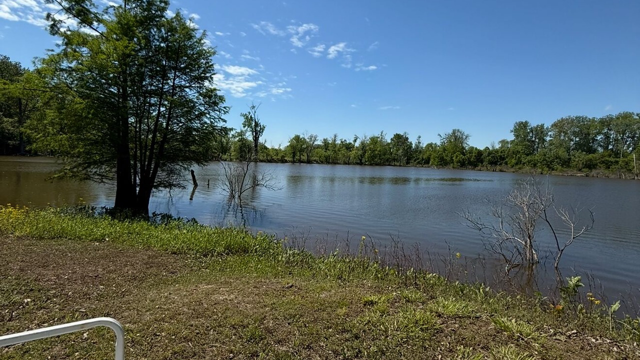 Photo of Outdoor in Mozier