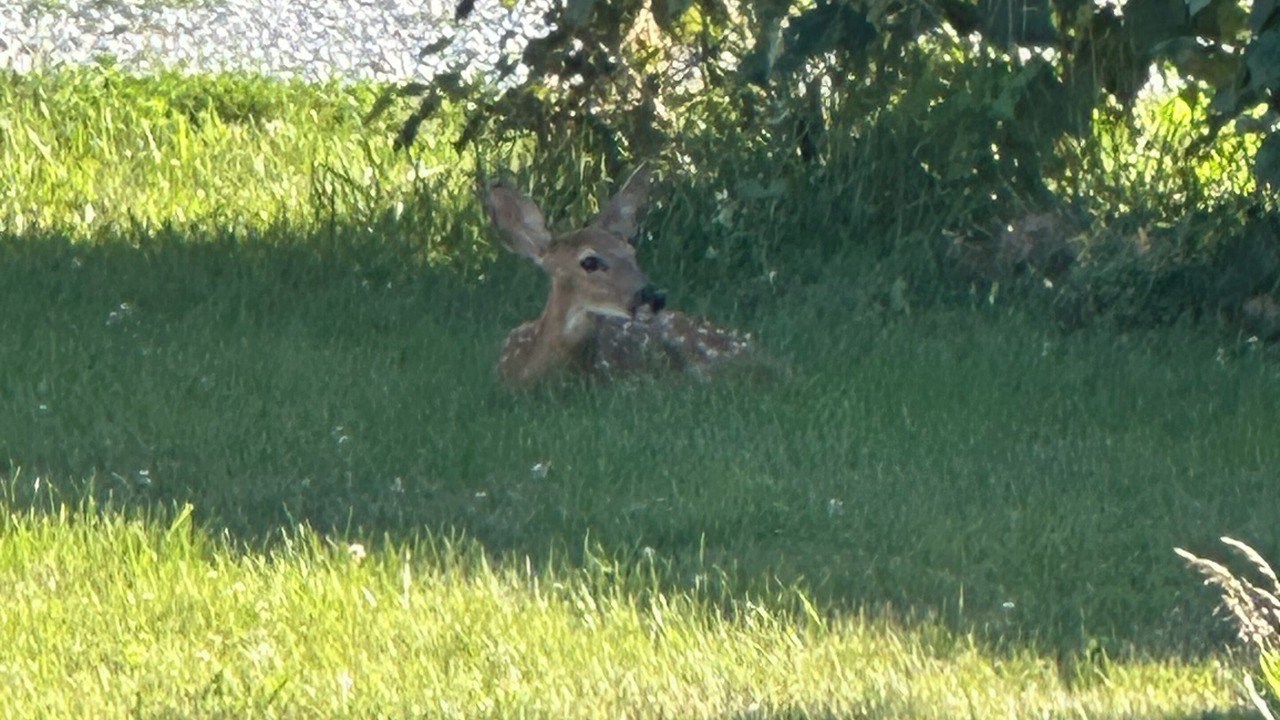 Photo of Others in Adair