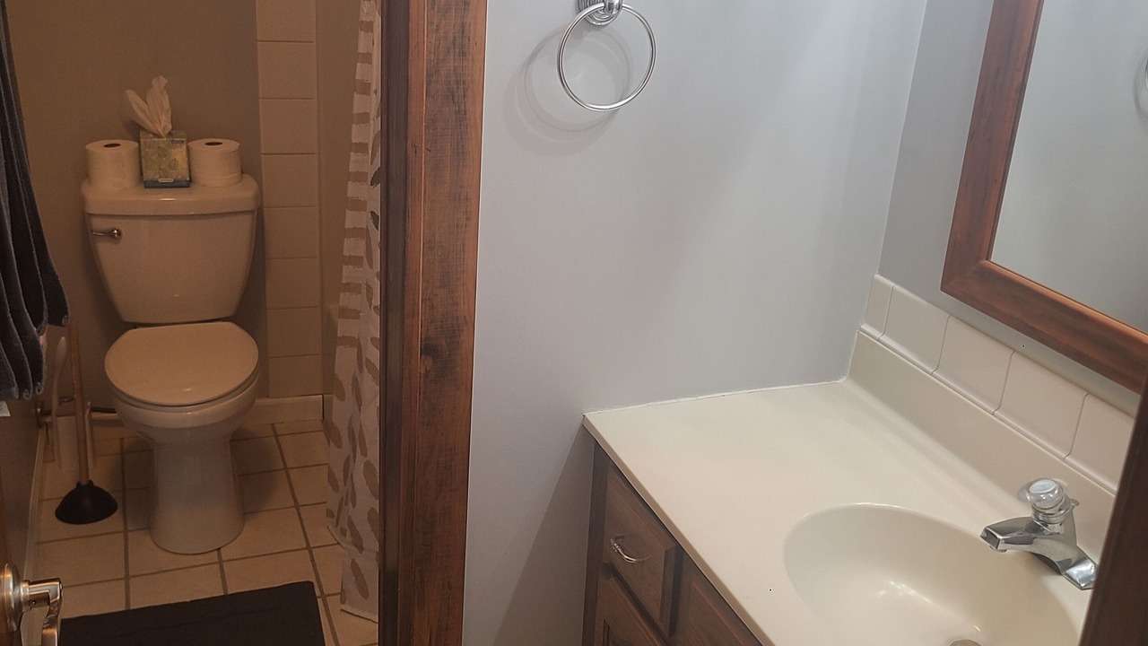 Photo of Bathroom in Carterville