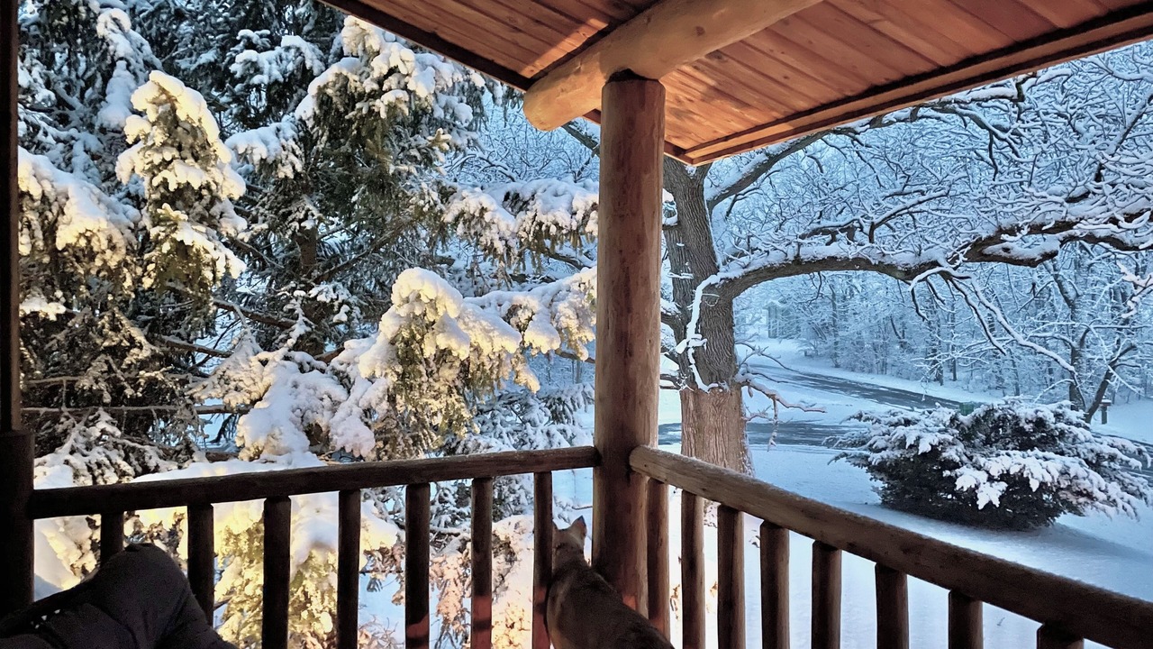 Photo of Patio Balcony in Lawndale
