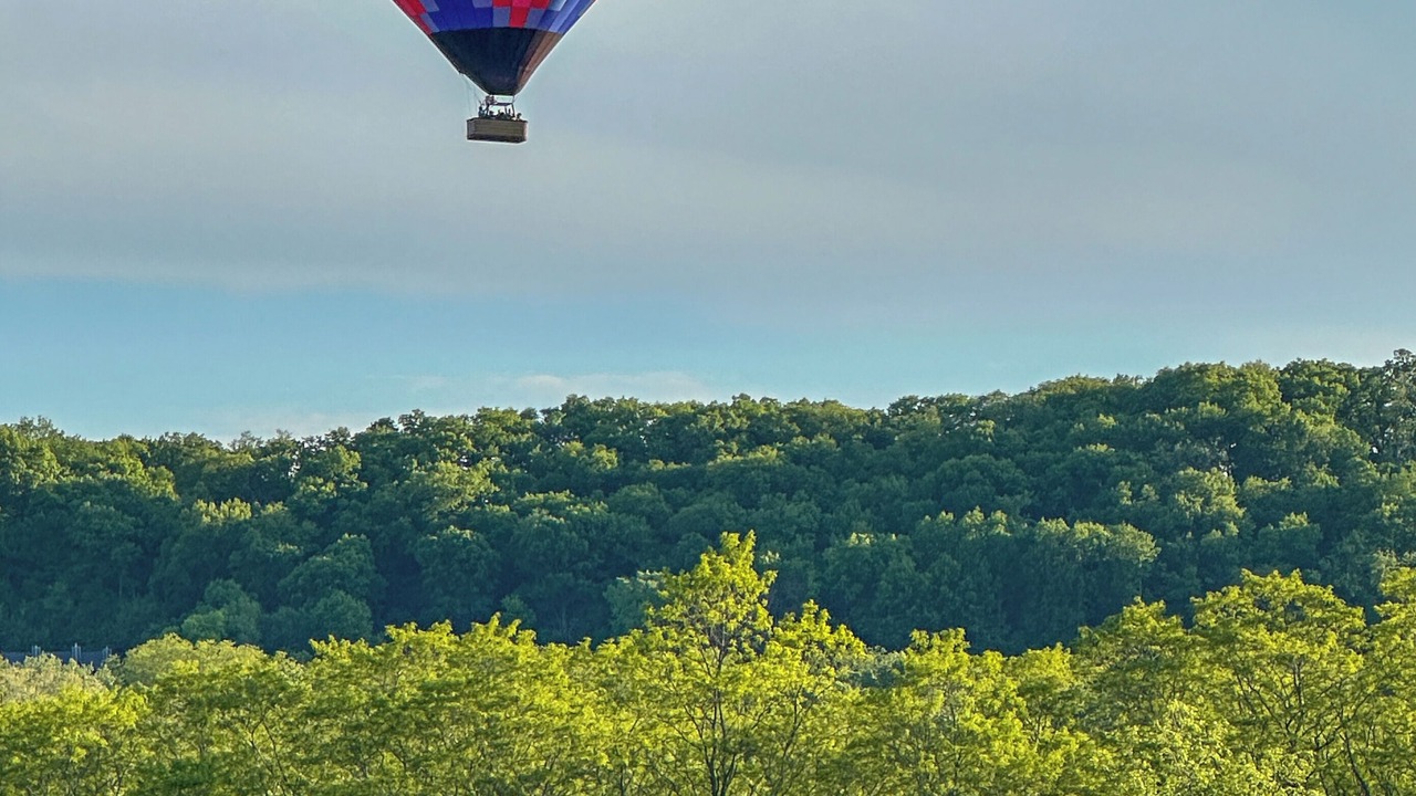 Photo of Others in The Galena Territory