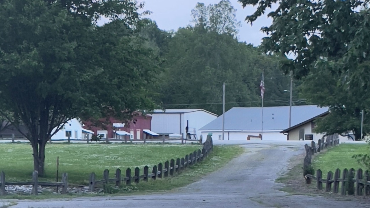 Photo of Others in Alexander