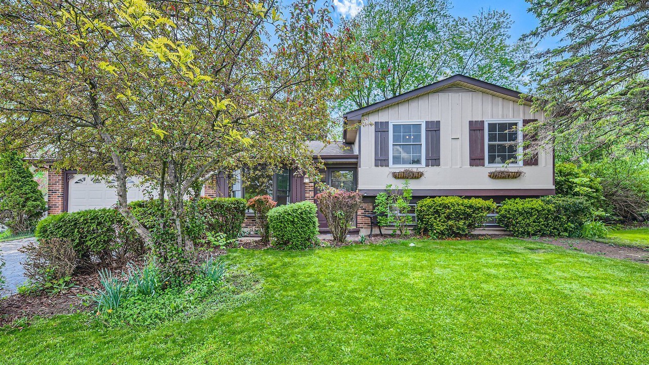 Photo of Outdoor in Lake Zurich