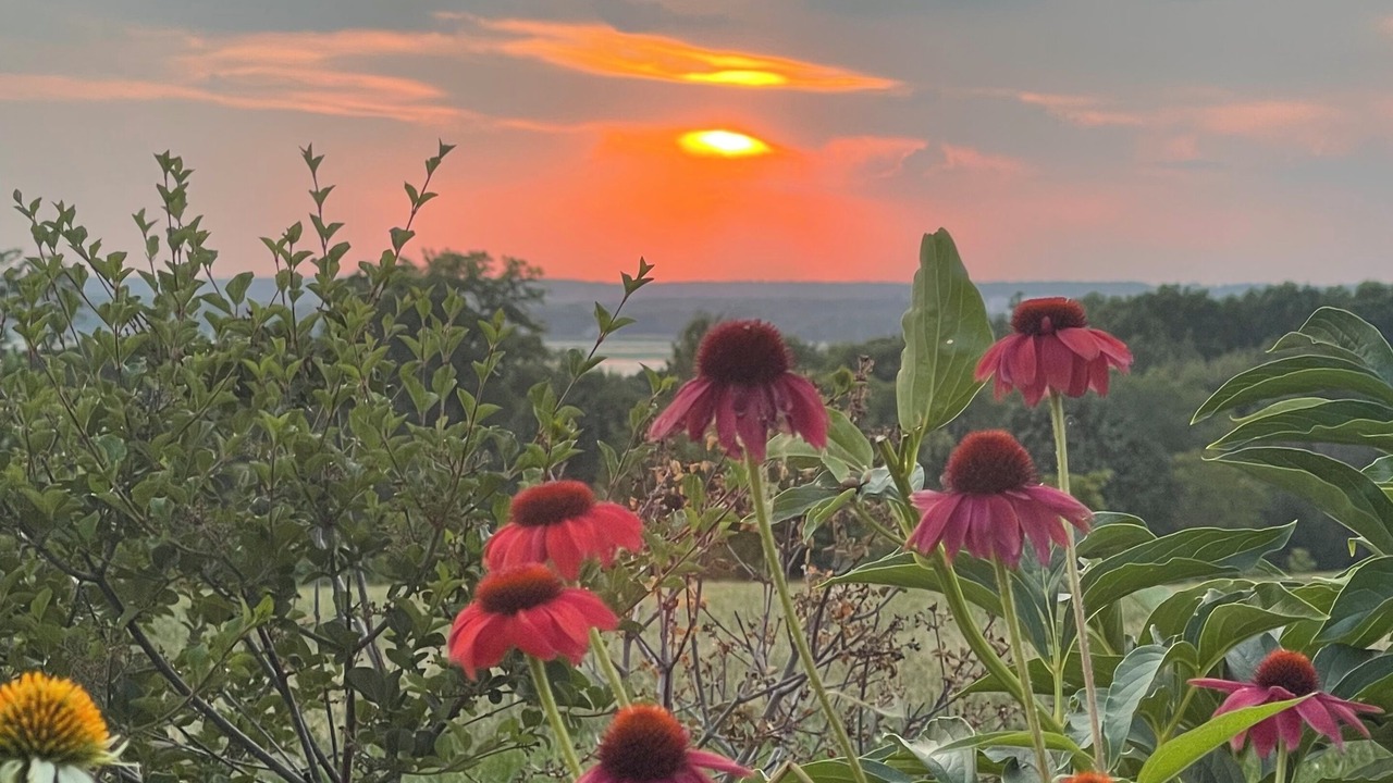 Photo of Outdoor in Nauvoo