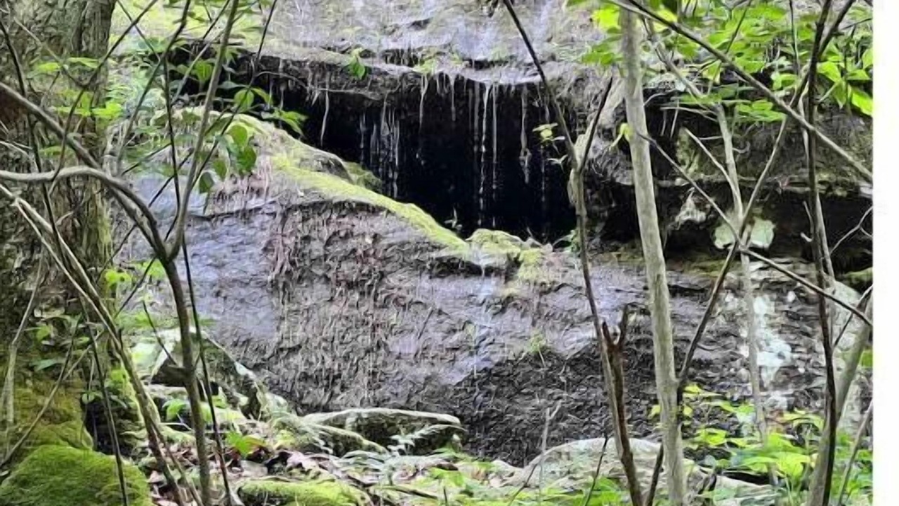 Photo of Outdoor in McFarlan