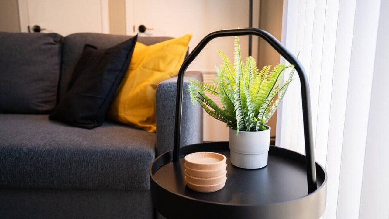 Photo of Livingroom in Sunnyland