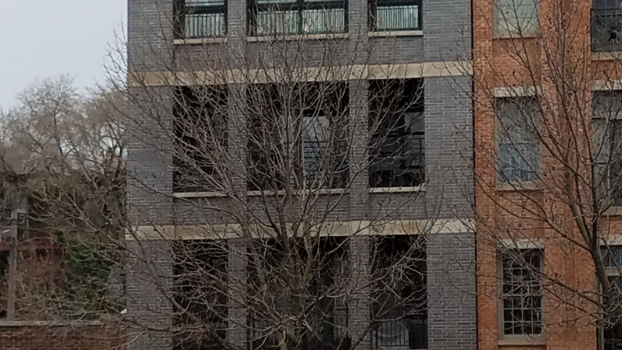 Photo of Outdoor in Lakeview