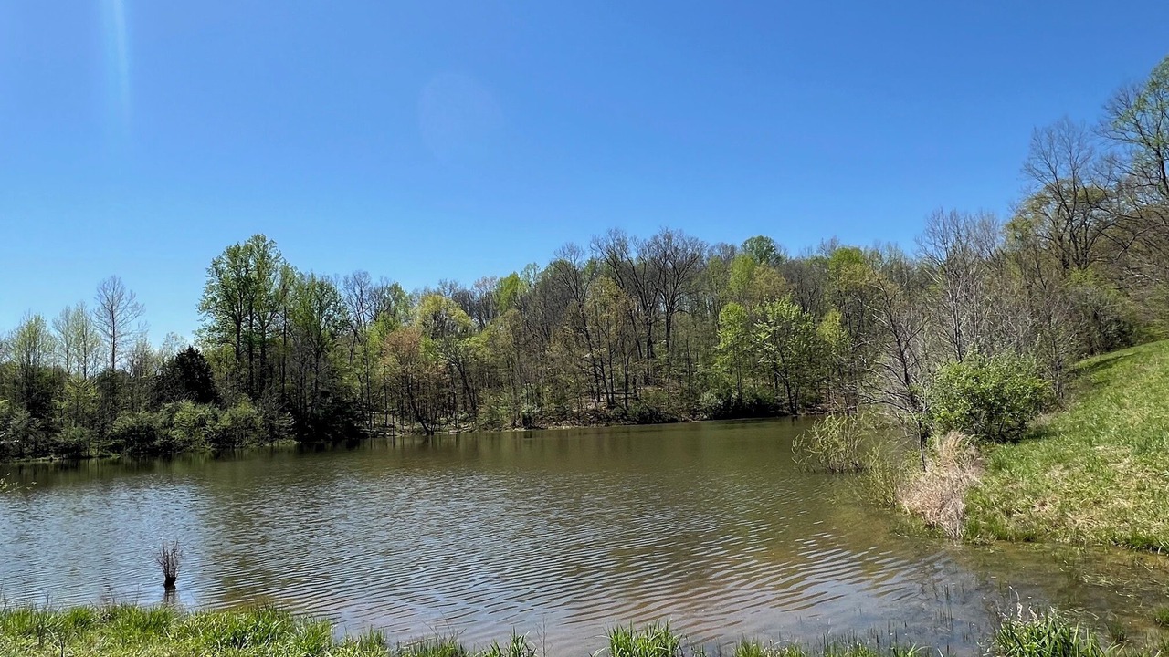 Photo of Outdoor in Jonesboro