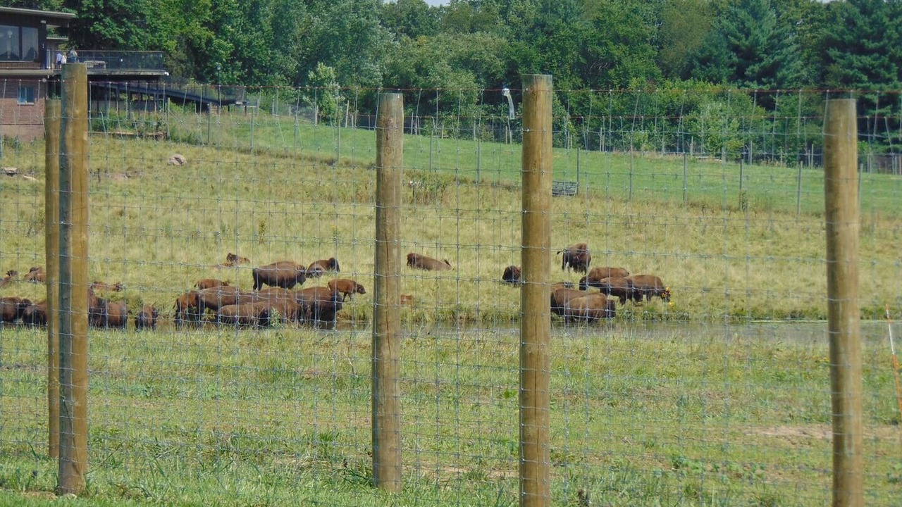 Photo of Outdoor in Orange Prairie