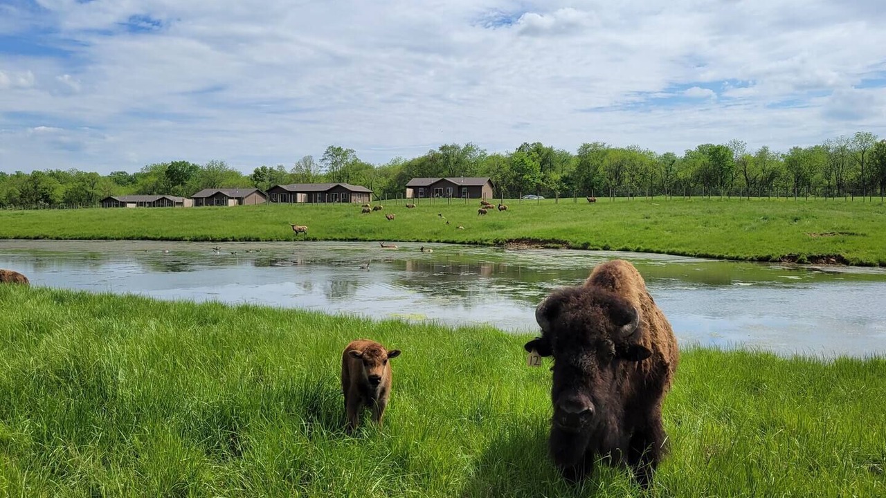 Photo of Others in Orange Prairie