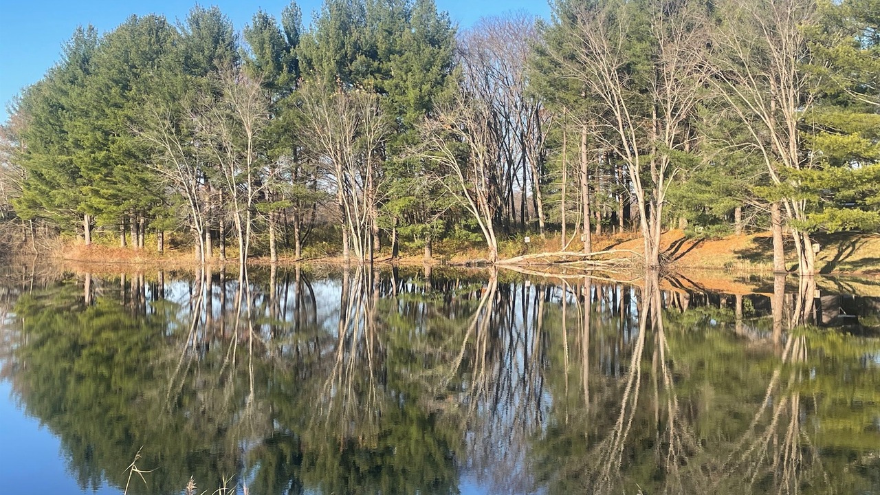 Photo of Others in Orange Prairie