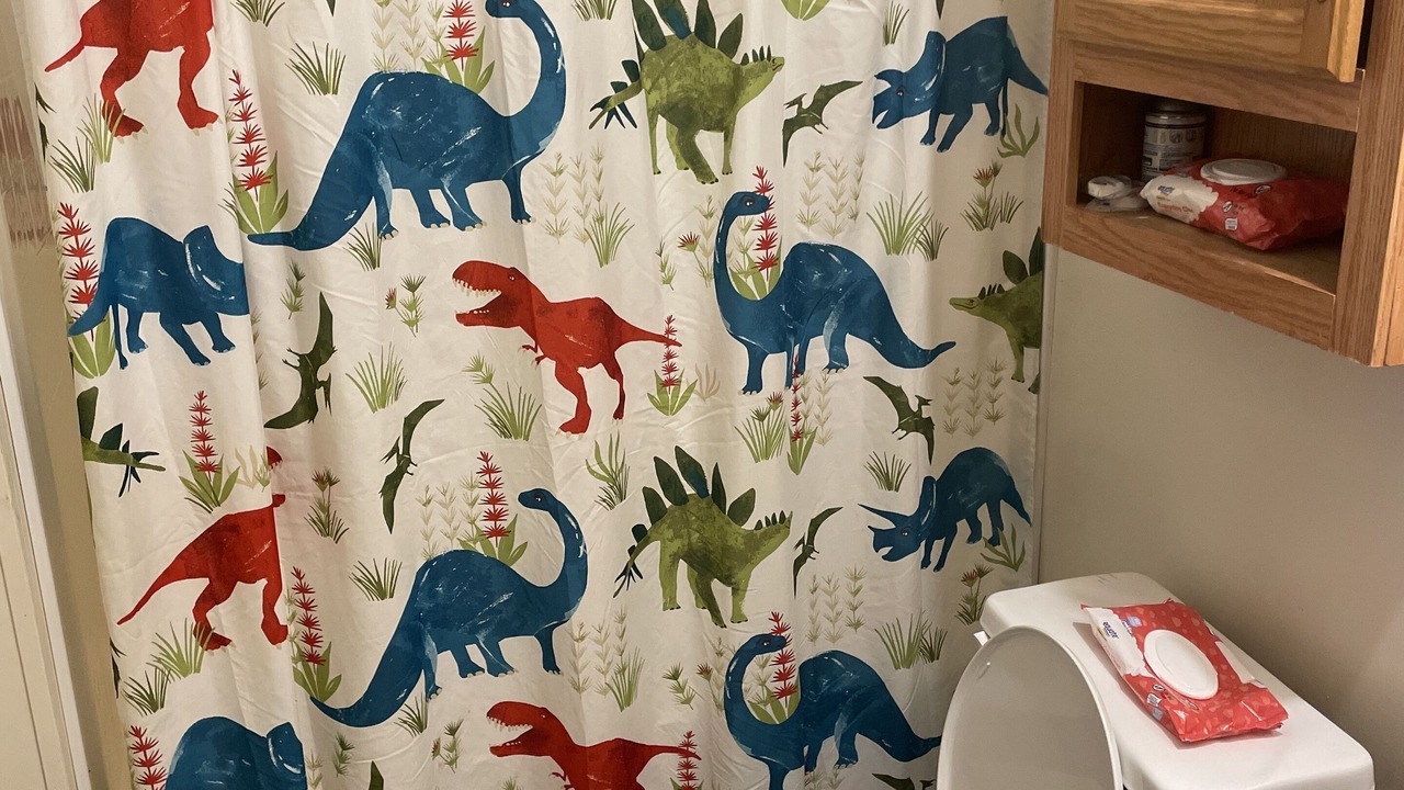 Photo of Bathroom in Akin