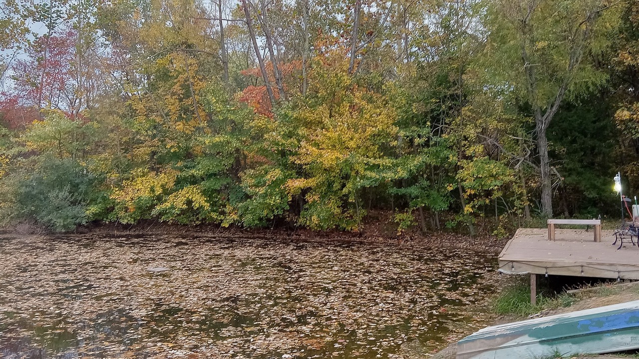 Photo of Outdoor in Akin