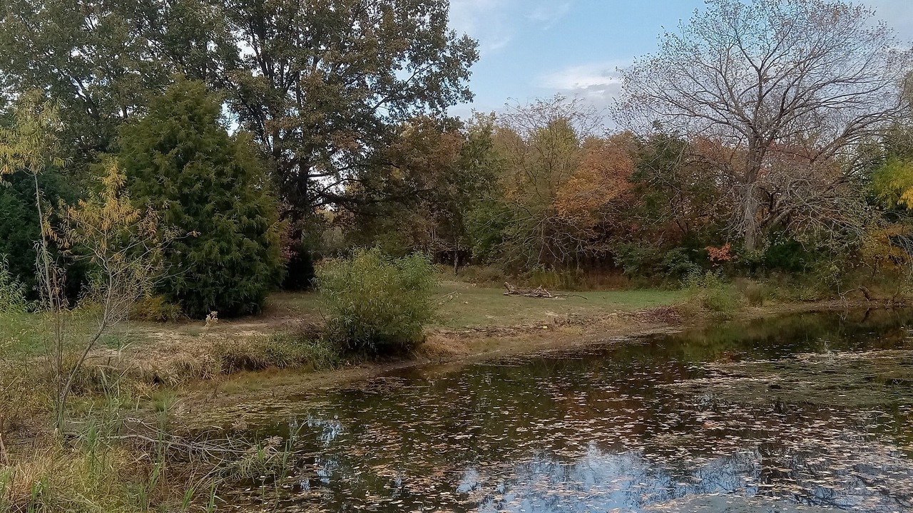 Photo of Outdoor in Akin