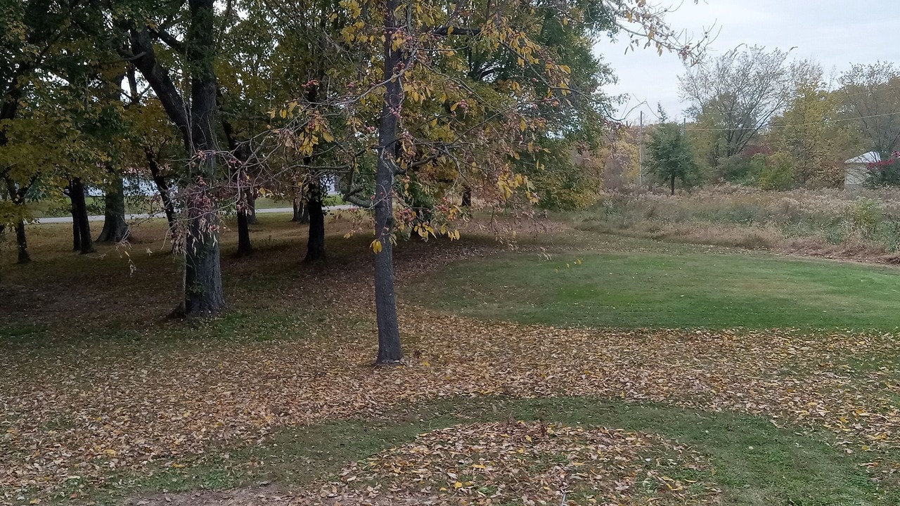 Photo of Outdoor in Akin