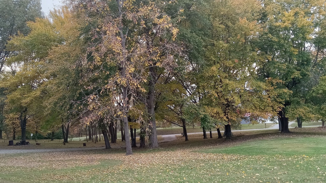Photo of Outdoor in Akin