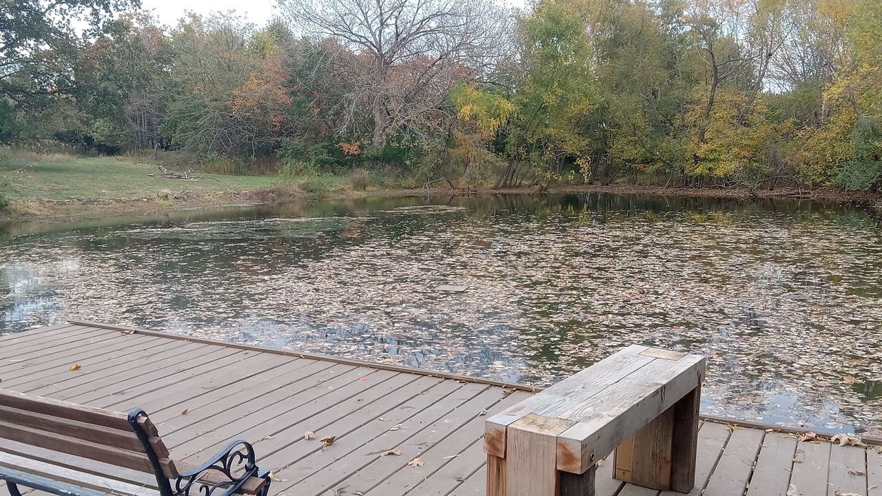 Photo of Outdoor in Akin