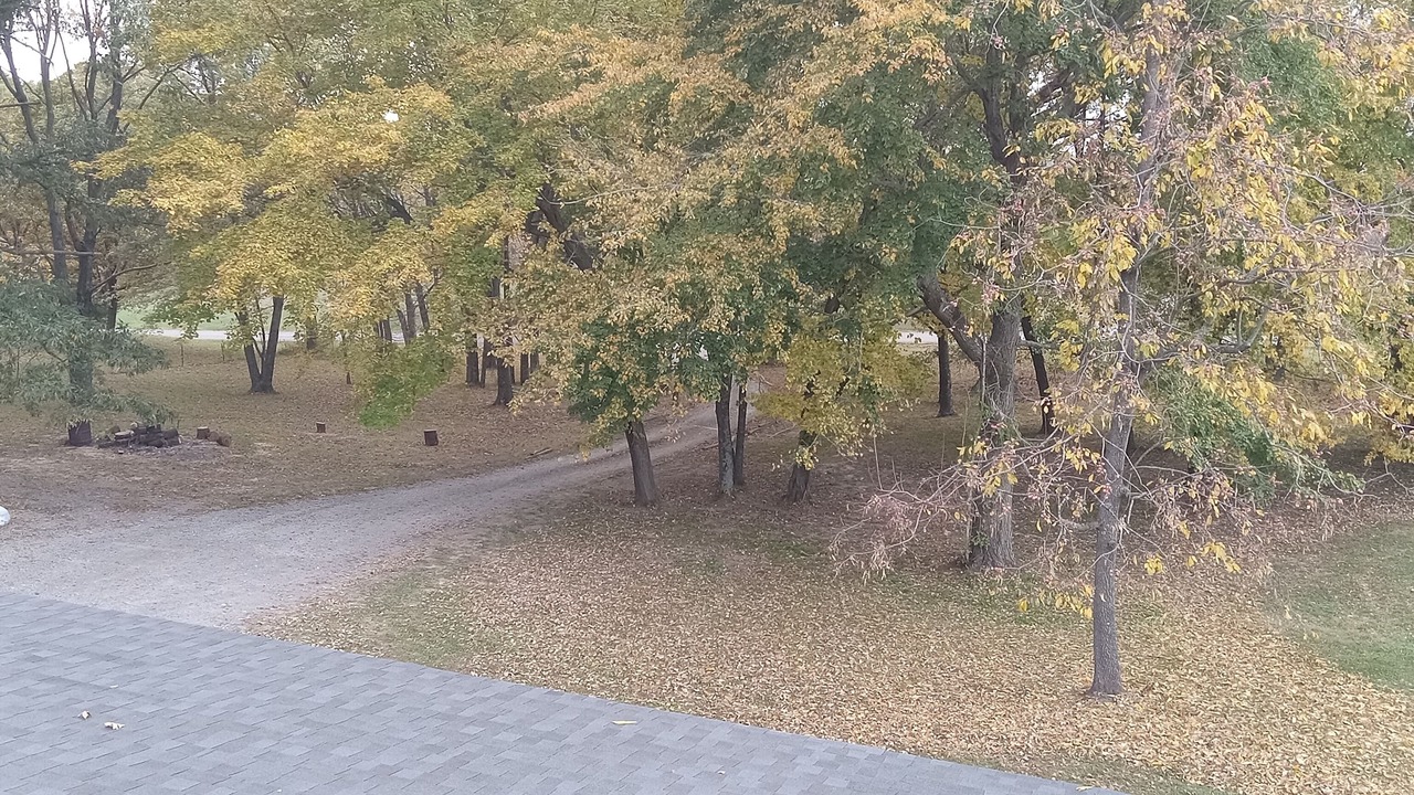 Photo of Outdoor in Akin