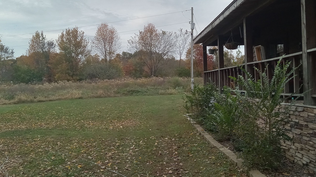 Photo of Outdoor in Akin