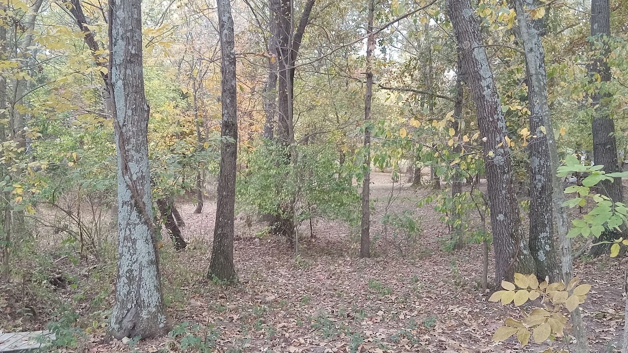 Photo of Outdoor in Akin