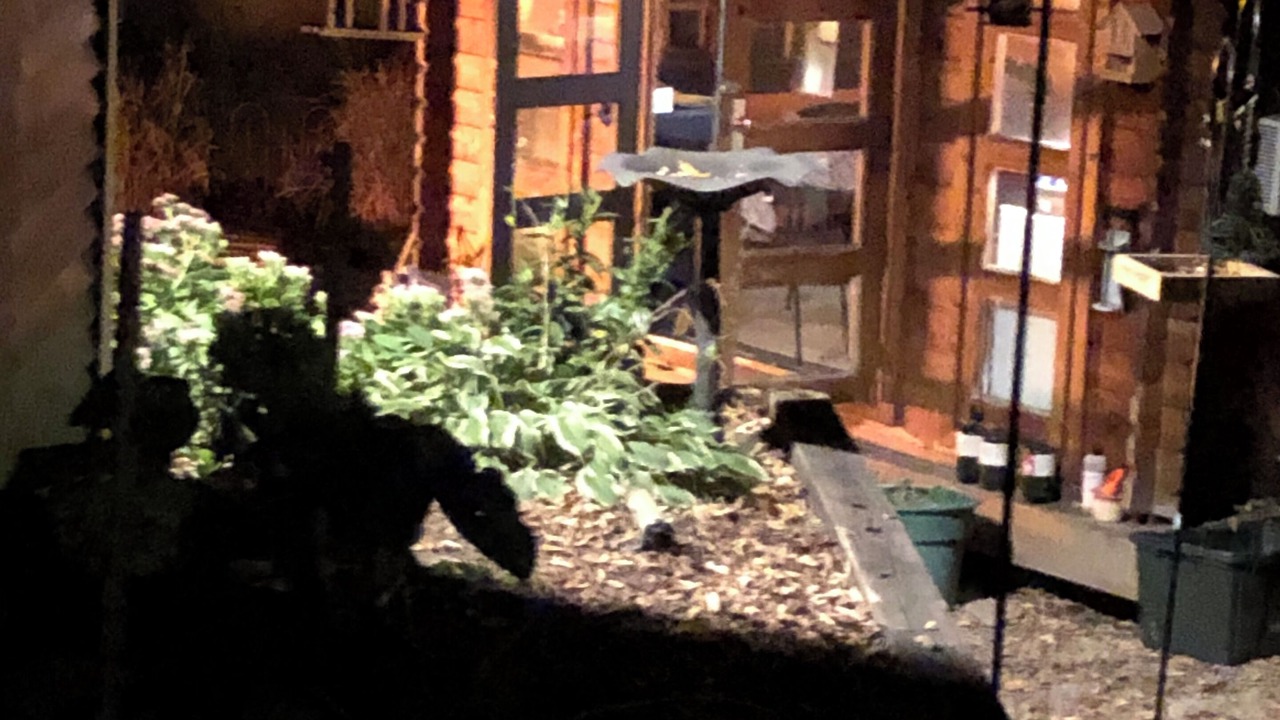Photo of Outdoor in Downers Grove