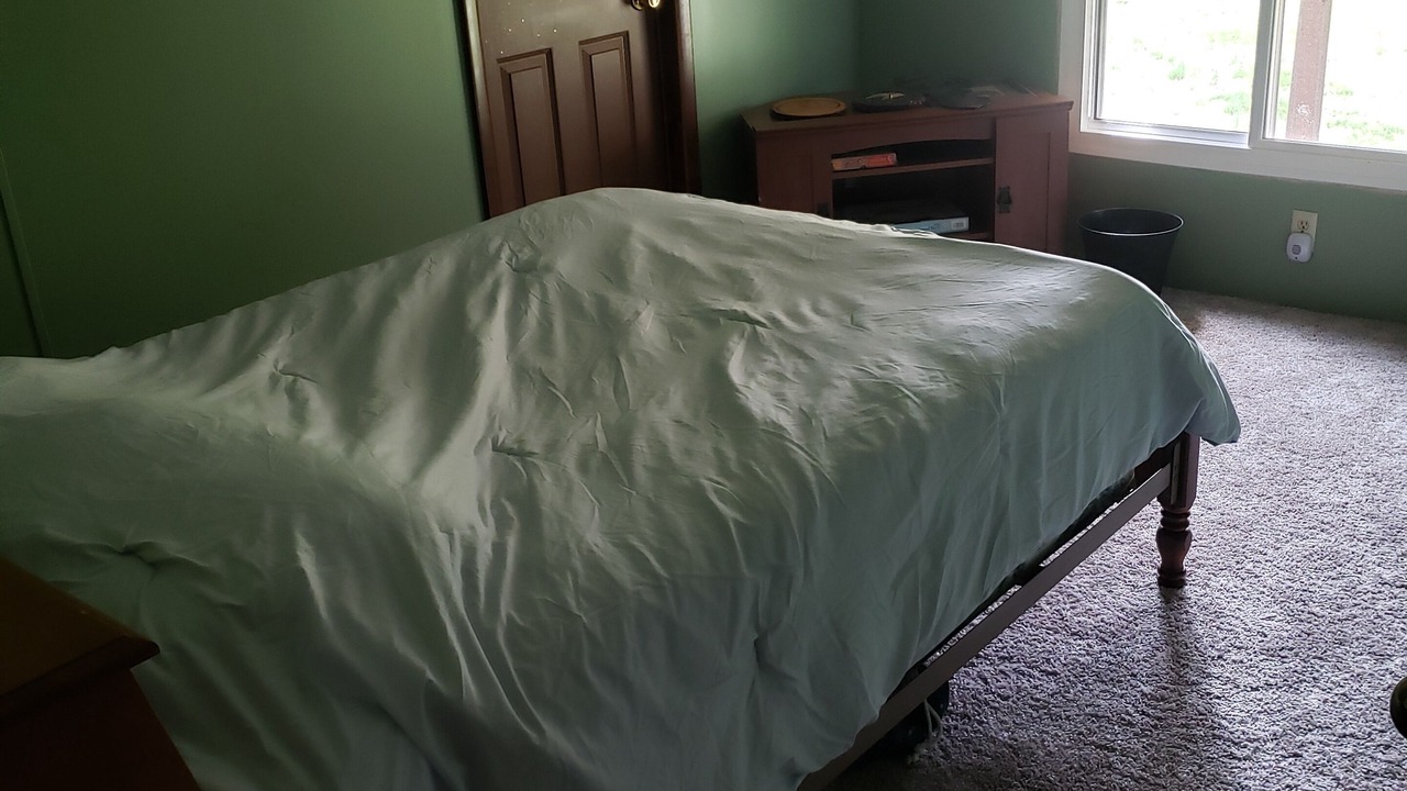 Photo of Bedroom in Golconda