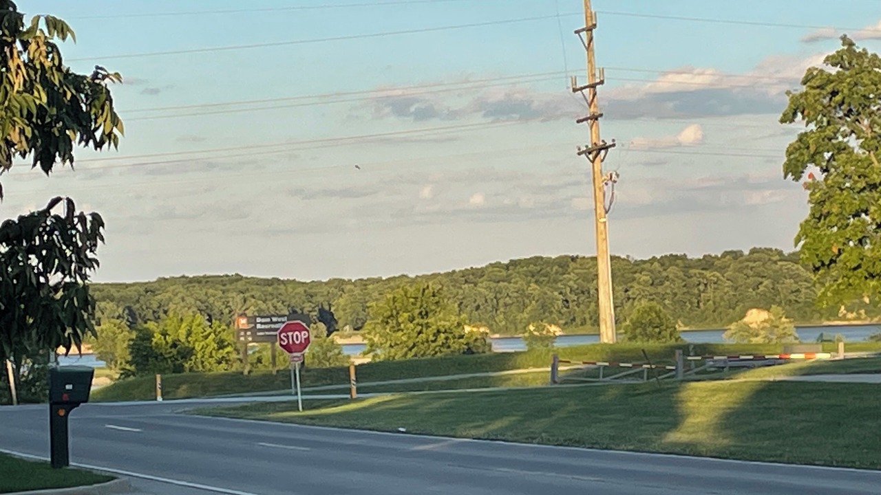 Photo of Others in Shelbyville