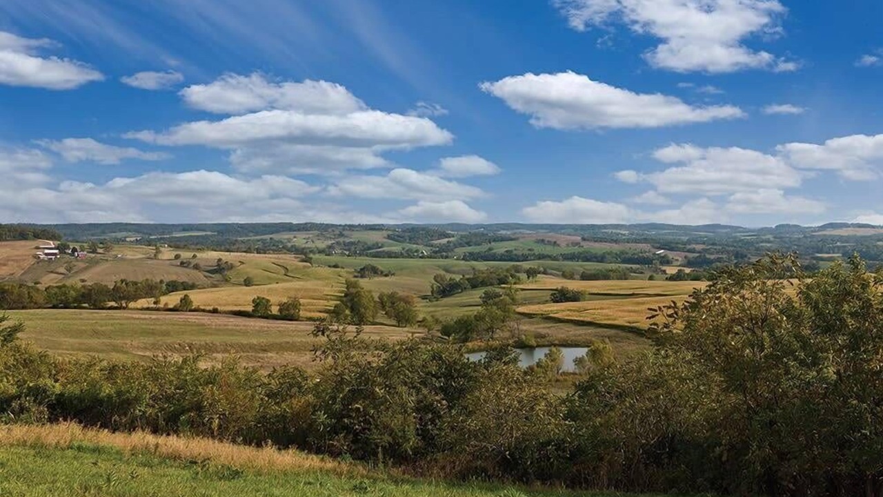 Photo of Others in The Galena Territory