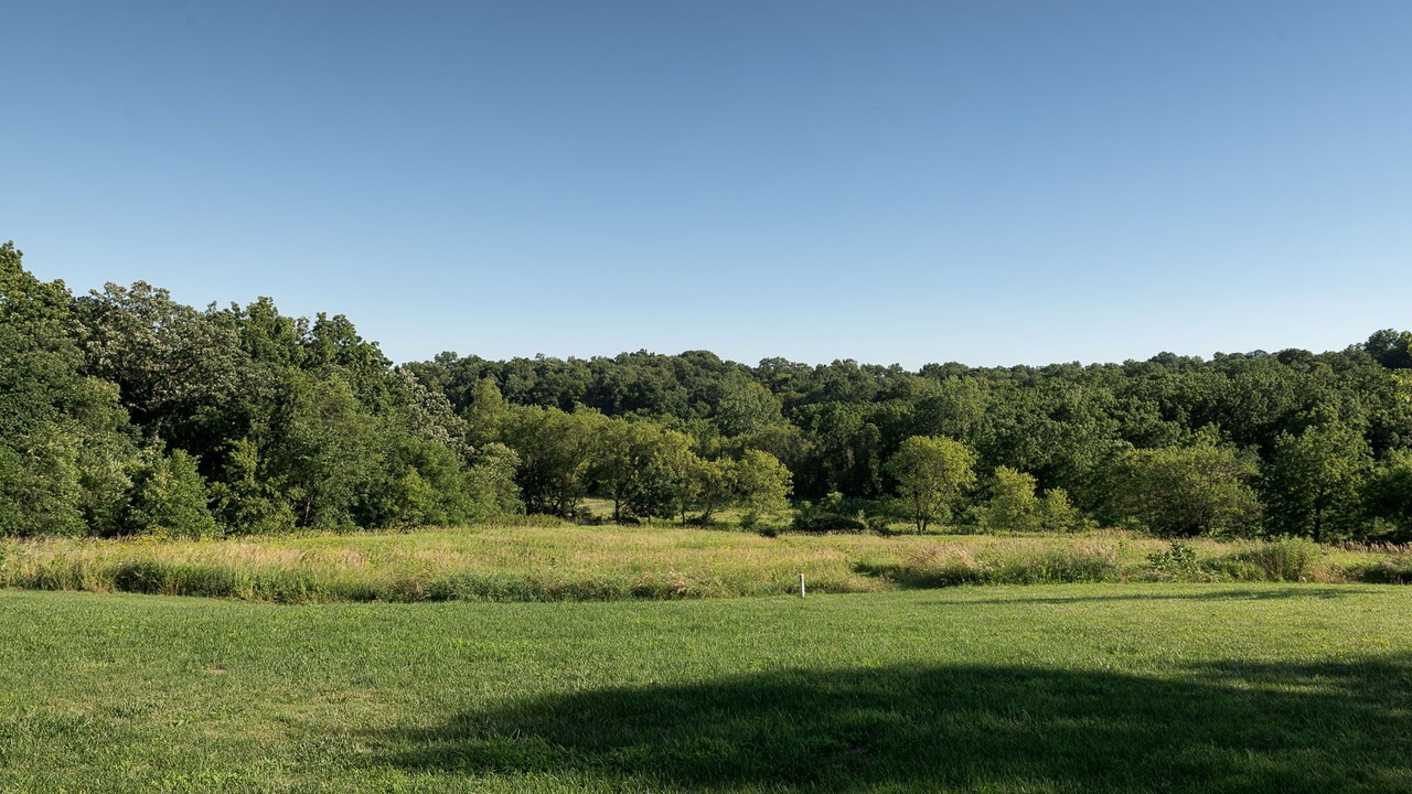 Photo of Others in Kent