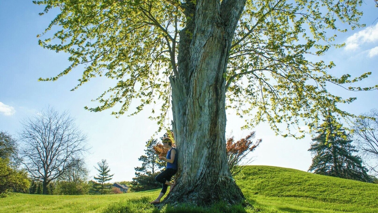 Photo of Others in Quad Cities