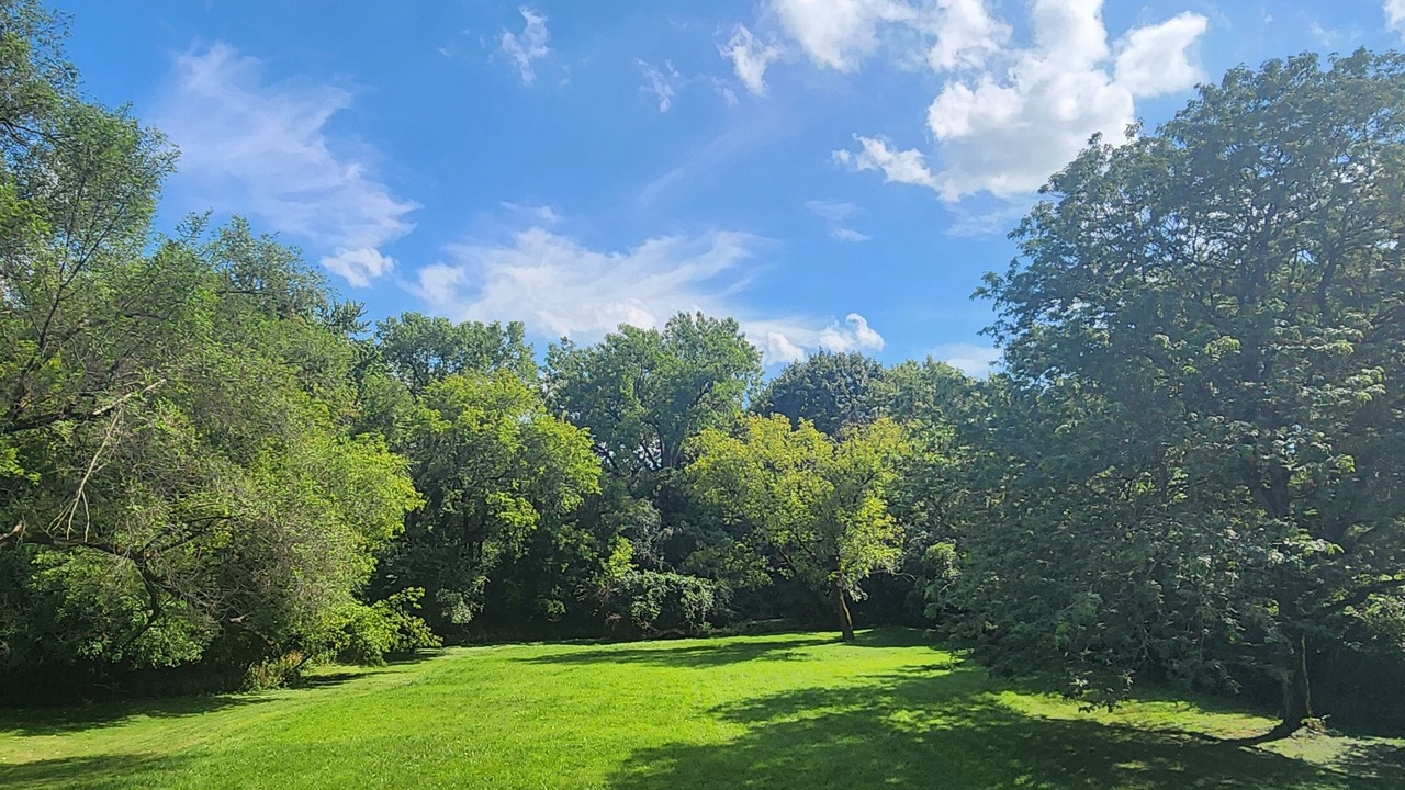 Photo of Outdoor in Willowbrook