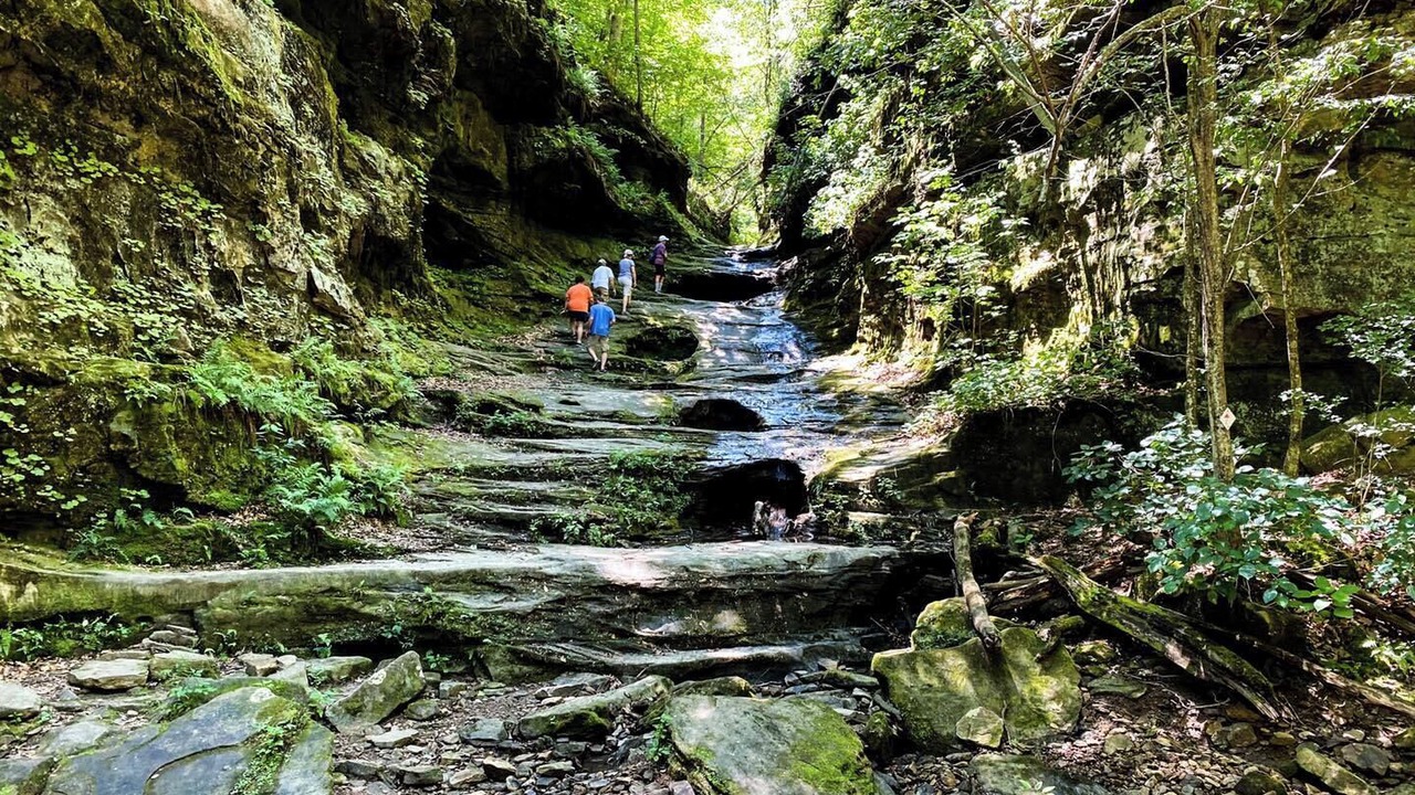 Photo of Outdoor in Marion