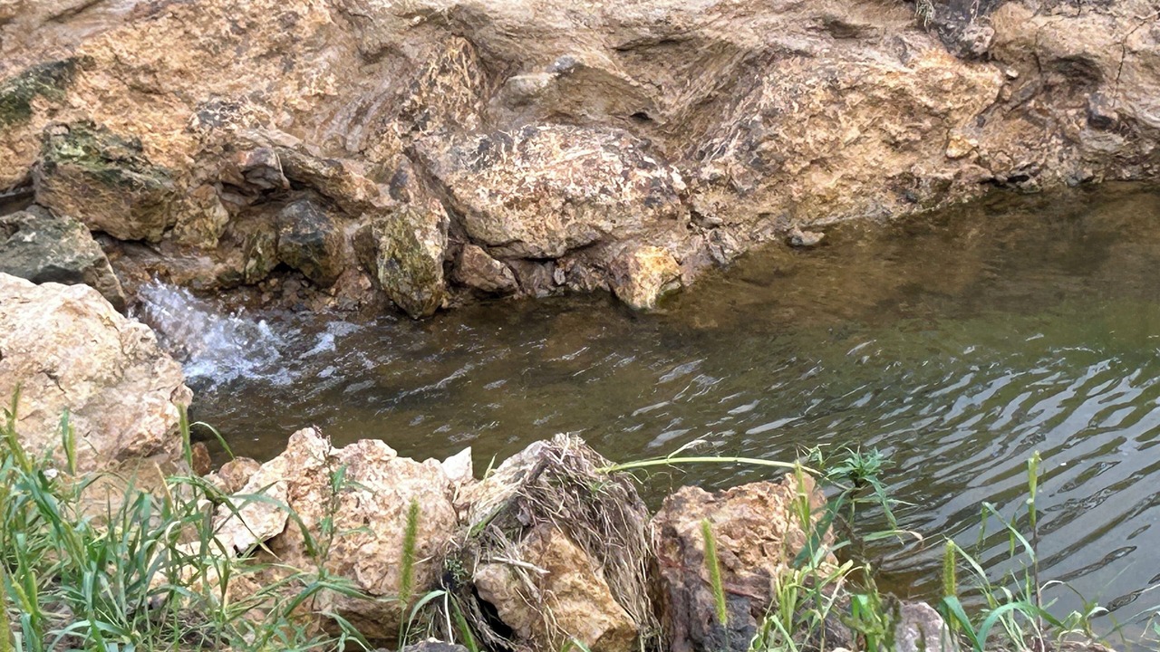 Photo of Others in Galena