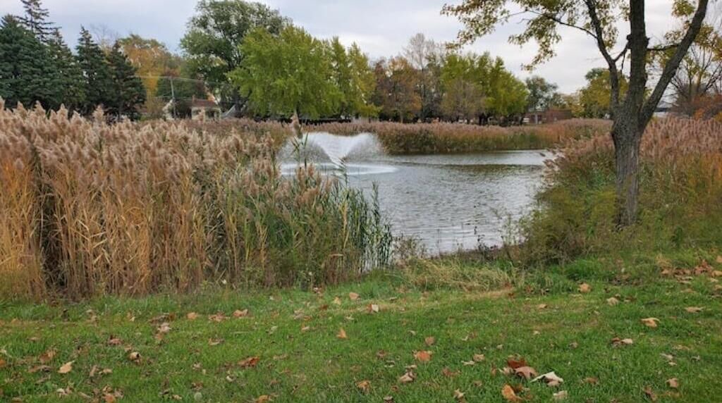 Photo of Outdoor in Norma
