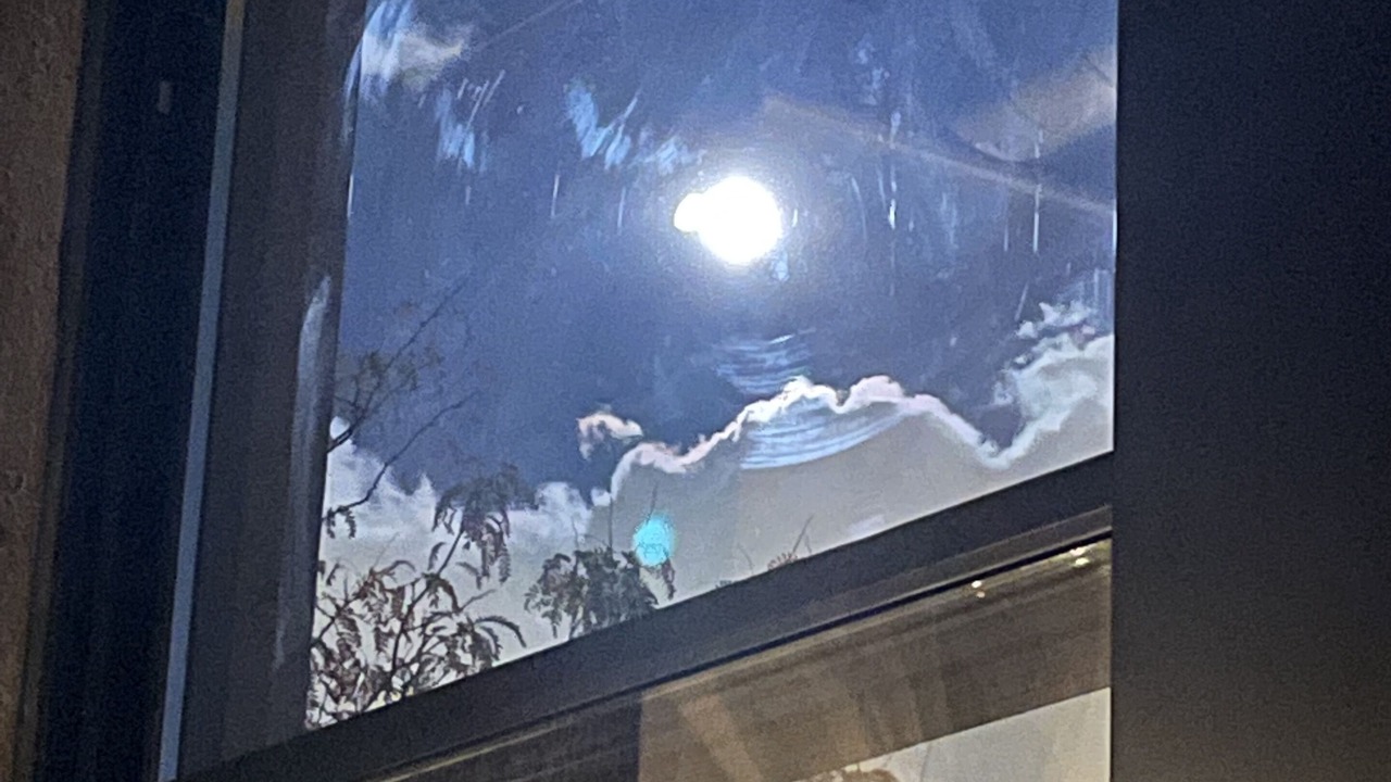 Photo of Others in University Village / Little Italy