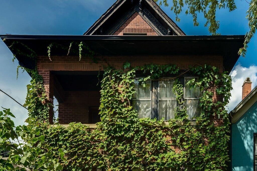 Photo of Outdoor in Bucktown