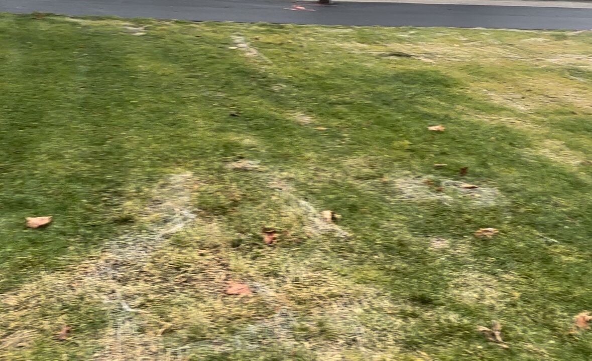 Photo of Outdoor in North Chicago