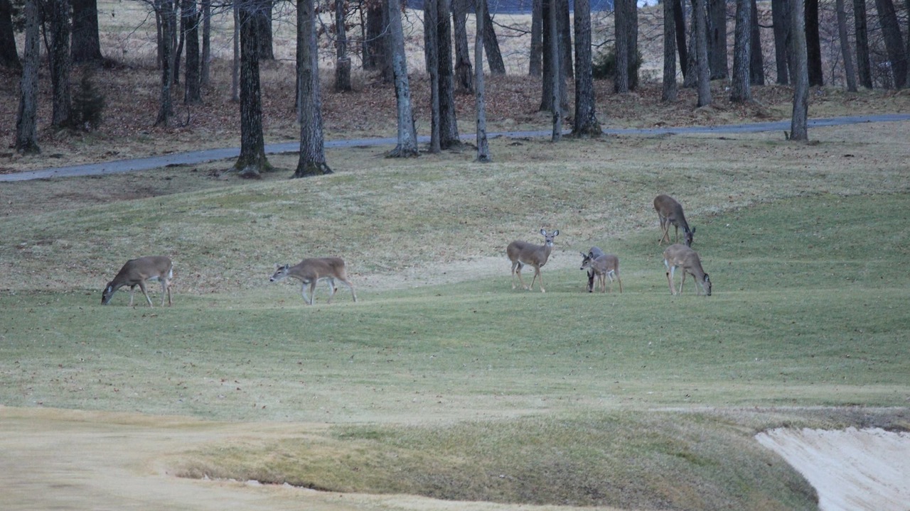 Photo of Others in Marion