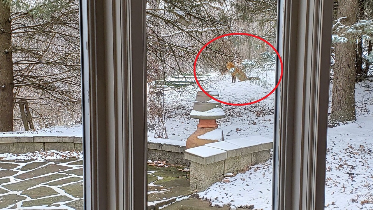 Photo of Others in Ottawa