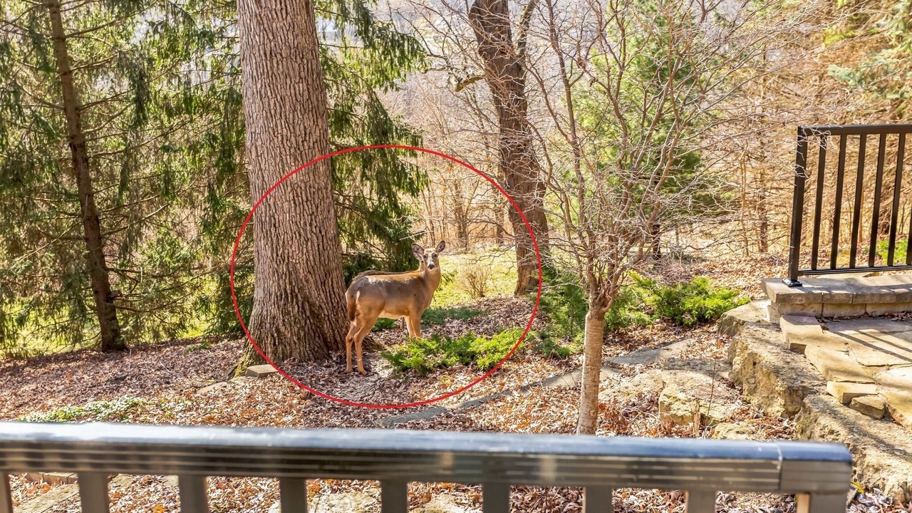 Photo of Outdoor in Ottawa