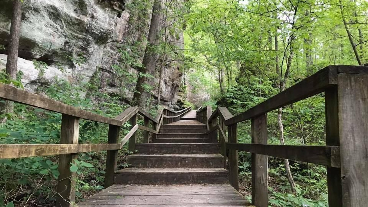 Photo of Outdoor in Carbondale